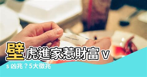 壁虎財運|四腳蛇風水改運指南